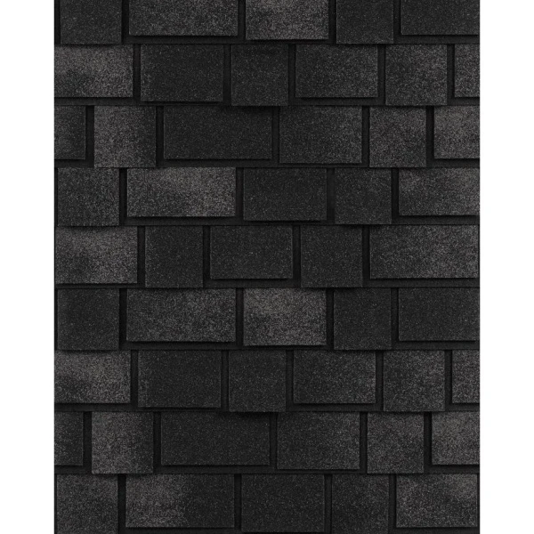 черный жемчуг черный жемчуг