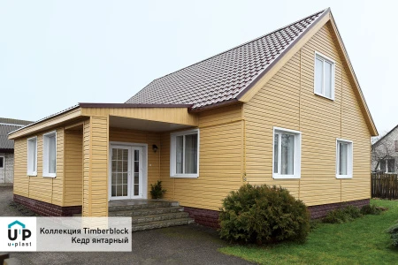 кедр янтарный