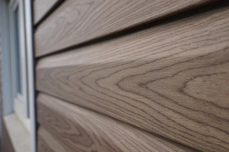 пихта сахалинская