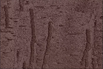 Фиброцементный сайдинг БЕТЭКО Вудрок (Короед) Шоколадно-коричневый RAL8017