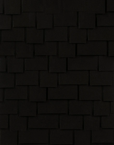 dinamica-black dinamica-black