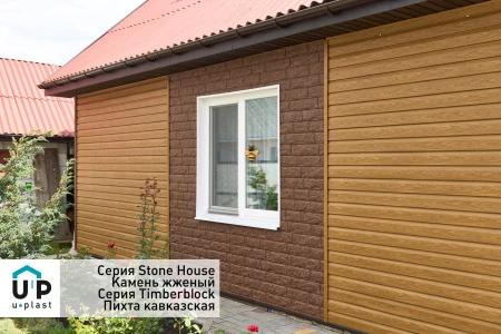 пихта кавказская