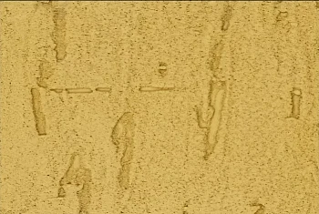 Фиброцементный сайдинг БЕТЭКО Вудрок (Короед) Бежевый RAL1001