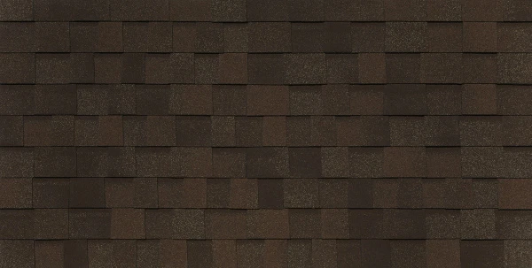 BUSINESS_PIEMONTE_castagna_matura_122