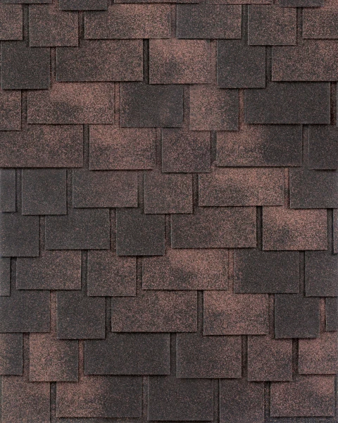 dinamica-brown dinamica-brown