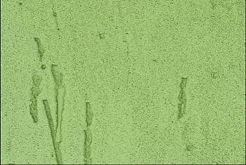 Фиброцементный сайдинг БЕТЭКО Вудрок (Короед) Бледно-зеленый RAL6021