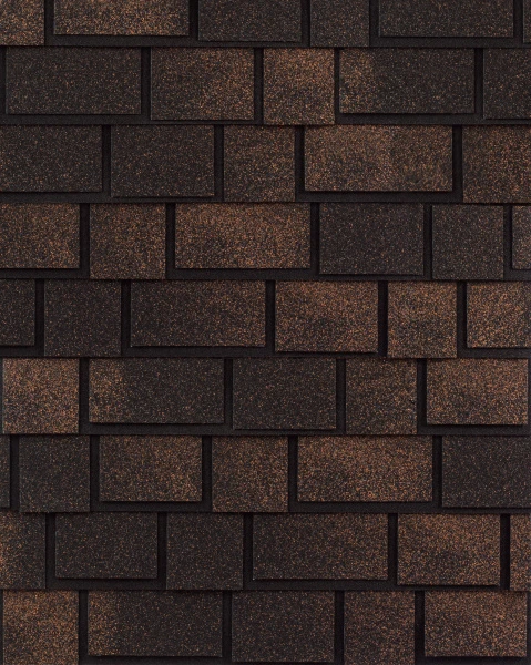 magnum-bronze magnum-bronze